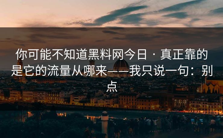 你可能不知道黑料网今日 · 真正靠的是它的流量从哪来——我只说一句：别点