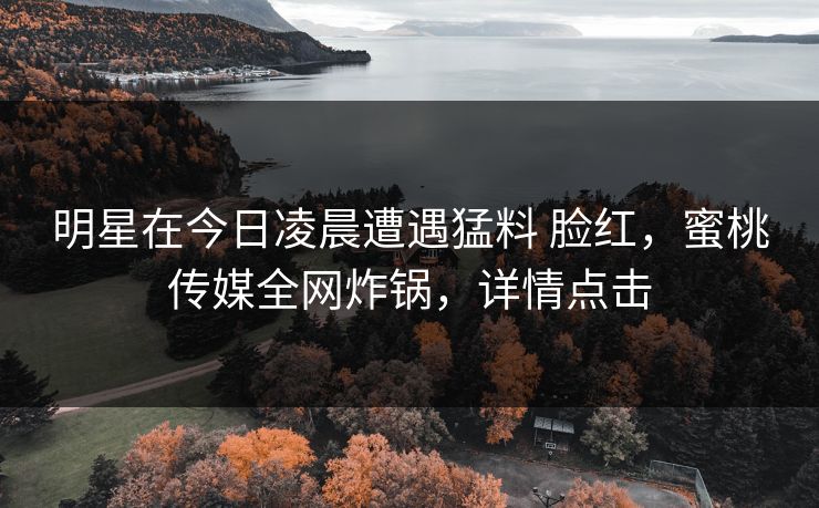 明星在今日凌晨遭遇猛料 脸红，蜜桃传媒全网炸锅，详情点击