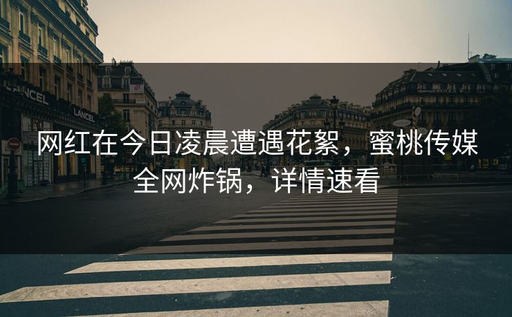 网红在今日凌晨遭遇花絮，蜜桃传媒全网炸锅，详情速看