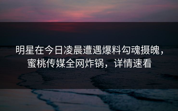 明星在今日凌晨遭遇爆料勾魂摄魄，蜜桃传媒全网炸锅，详情速看