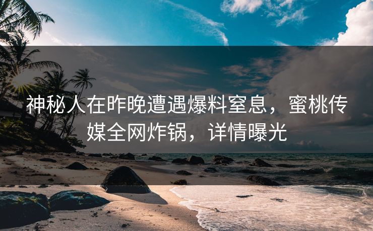神秘人在昨晚遭遇爆料窒息，蜜桃传媒全网炸锅，详情曝光