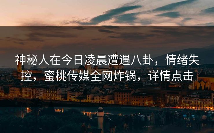 神秘人在今日凌晨遭遇八卦，情绪失控，蜜桃传媒全网炸锅，详情点击