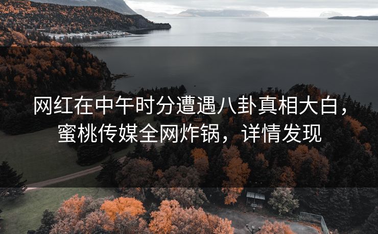 网红在中午时分遭遇八卦真相大白，蜜桃传媒全网炸锅，详情发现