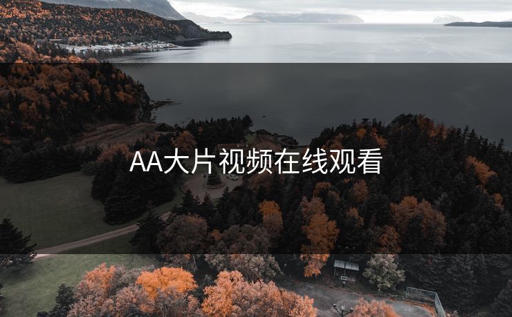 AA大片视频在线观看