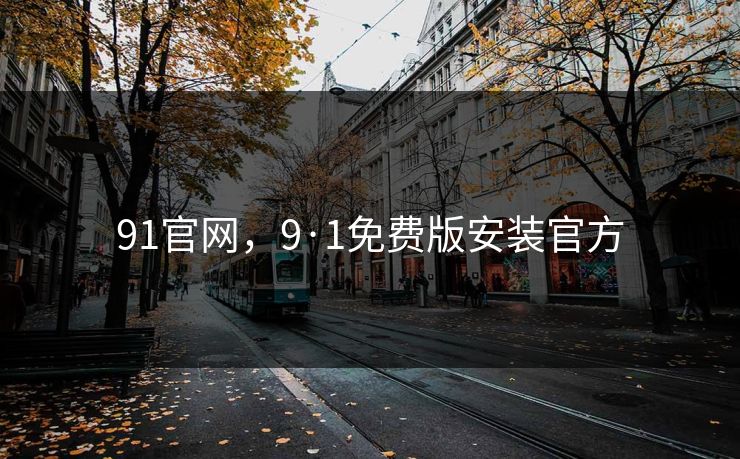 91官网，9·1免费版安装官方