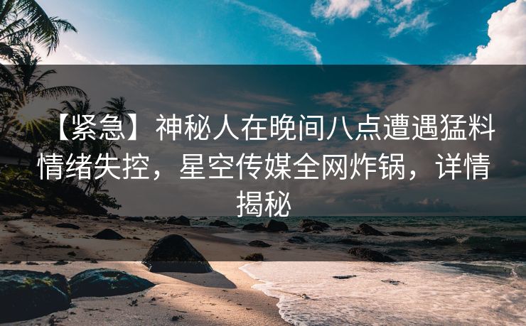 【紧急】神秘人在晚间八点遭遇猛料 情绪失控，星空传媒全网炸锅，详情揭秘