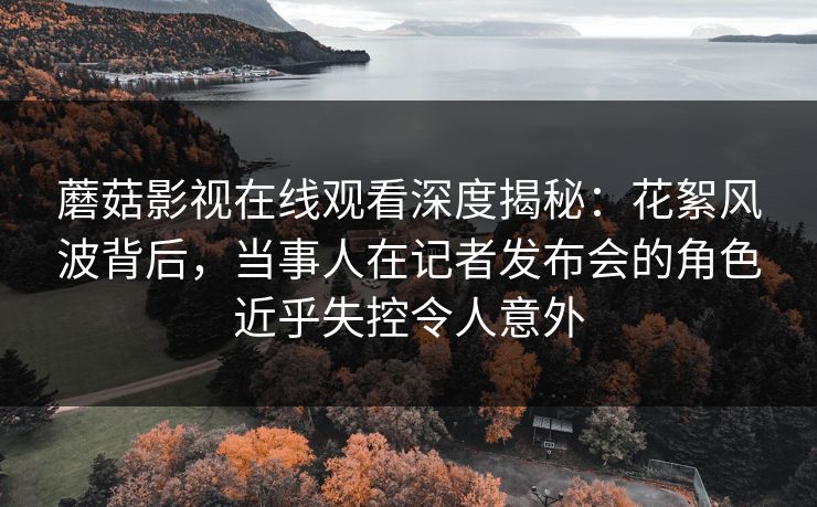 蘑菇影视在线观看深度揭秘：花絮风波背后，当事人在记者发布会的角色近乎失控令人意外