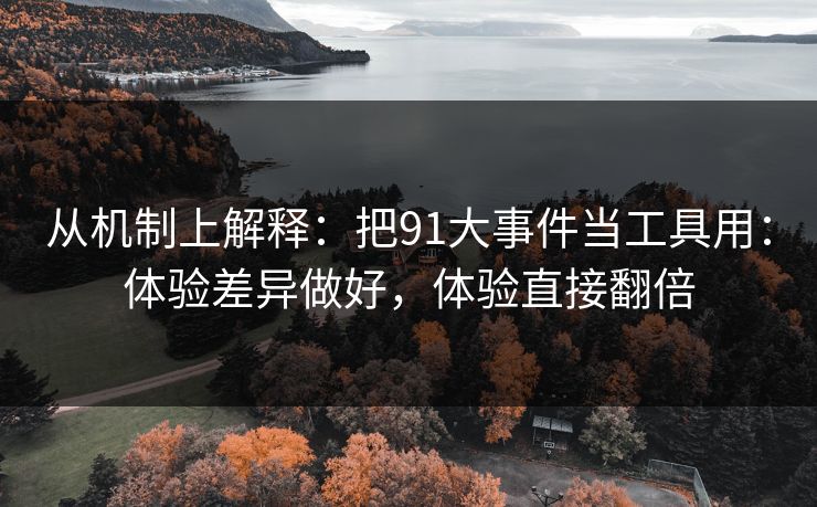 从机制上解释：把91大事件当工具用：体验差异做好，体验直接翻倍