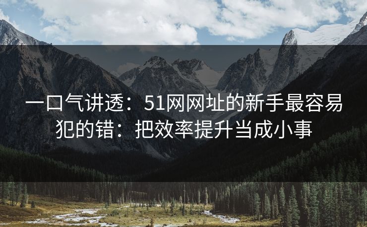 一口气讲透：51网网址的新手最容易犯的错：把效率提升当成小事