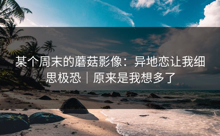某个周末的蘑菇影像：异地恋让我细思极恐｜原来是我想多了