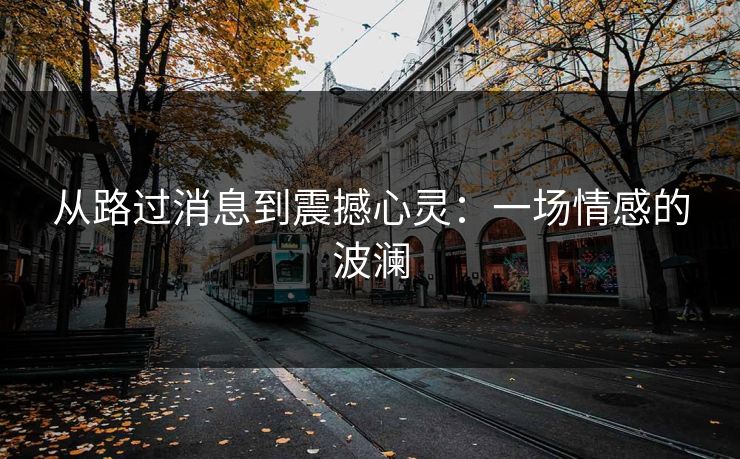 从路过消息到震撼心灵：一场情感的波澜